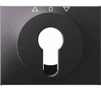 Hager K1 - Central Plate with Lock Anthracite