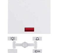 Hager K1 - Key with Lens for Switch Polar White
