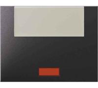 Hager K1 - Key with Porta ROTULO Large Lens Anthracite