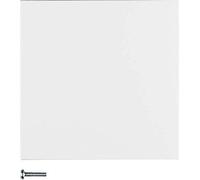 Hager - Key Simple AM RF usbquicklink Without B Polar White Matte