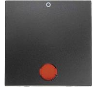 Hager - Key with Lens Mechanism Simple Bipolar Tripolar B1 Anthracite