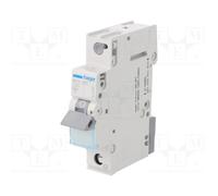 HAGER MCS120 Circuit breaker