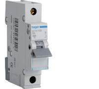 Hager Miniature Circuit Breaker MTN106 - 1 Pole, 1 Module, Type B, 6 kA, 6 A