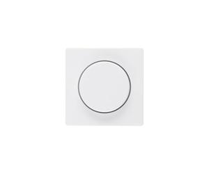 Hager Q.1 Centre Plate with Key for Control Polar White