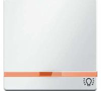 Hager Q.1 - Key with Lens + Registration Light Polar White