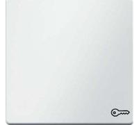 Hager Q.1 - Key with Registration Key Polar White