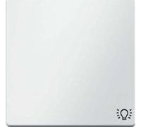 Hager Q.1 - Key with Registration Light Polar White