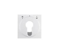 Hager S1 - Central Plate with Lock Polar White Brightness