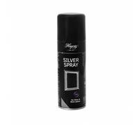 Hagerty Silver Silver Spray A102217 - Unisex