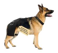 HAGGEMI Dog Hip Brace with Red Infrared Light Therapy - Pain Relief for Arthritis, Hip Dysplasia, Spine Issues & Muscle Recovery, Portable & Cordless(Male Dog, XXL)