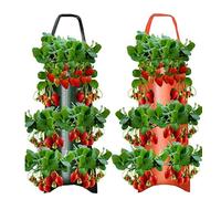 Hagmoo 10 hole strawberry planting bags,Premium Fabric Planter Bags for Optimal Drainage and Air Circulation, Perfect for Growing Healthy Strawberries Indoors & Outdoors (Orange Red)