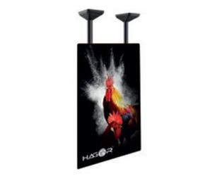 Hagor PLD Single HD Portrait - heavy-duty ceiling mount - 75-100" | max. VESA 900x600 | load 100 kg - portrait