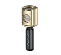 Hagsnec Portable Audio Integrated Bluetooth Microphone for Children Adults to Sing Compatible with for/Ios Gold