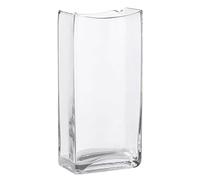 HAGTRB Modern Glass Vase for Tulip 20cm/25cm Tall Decorative Flower Vase Rectangular Fish Tank Living Room Dining Table Office Home Decor Hydroponic Container