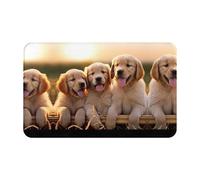 HAHAFU Golden Retriever Dogs Puppies Pets Flannel Doormat 49x80cm,Non-Slip Rubber Backing,Absorbent And Dirt Trapping,Entrance Rug For Indoor/Outdoor Use