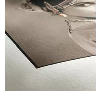 Hahnemhle Photo Rag. Media weight: 308 g/m Print technology: Inkjet Product colour: White. Doesn't contain: Acid Lignin. Roll length: 20 m. Quantity per pack: 1 pc(s)