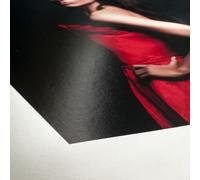 Hahnemühle FineArt Baryta Satin Art paper