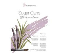 Hahnemühle Sugar Cane Watercolour Sugar Cane Watercolour Paper 290gsm Natural White 12 Sheets (A3)