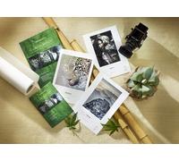 Hahnemuhle 13x19 Natural Line Sample Pack