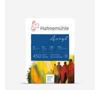 Hahnemuhle : Acrylic Painting Paper Block : 10 Sheet : 450gsm : 24x32cm : Not Texture