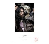 Hahnemuhle Agave 290gsm 36 Inch Roll 12mtr