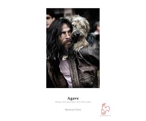 Hahnemuhle Agave 290gsm A2 - 25 Sheets