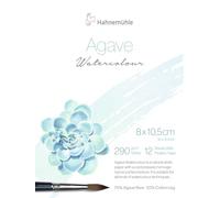 Hahnemuhle Agave Watercolour Block 8x10.5cm