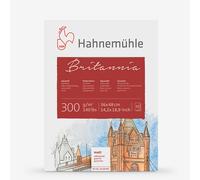 Hahnemuhle : Britannia : Block : 300gsm : 140lb : 36x48cm : 12 Sheets : Not
