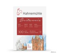 Hahnemuhle : Britannia : Block : 300gsm : 140lb : 30x40cm : 12 Sheets : Rough