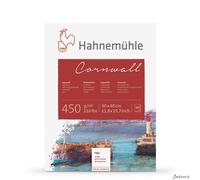 Hahnemuhle : Cornwall : Block : 450gsm : 210lb : 30x40cm : 10 Sheets : Rough