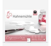 Hahnemuhle : Expression : Watercolour Block : 300gsm : 20 Sheets : 40x50cm (Apx.16x20in) : Not