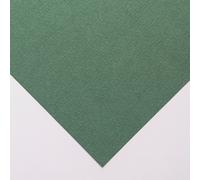 Hahnemuhle : LanaColours : Pastel Paper : 50x65cm : Single Sheet : Sage