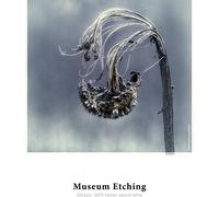 Hahnemuhle Museum Etching Art Paper 25 Sheets WESTDIST-10641649