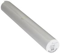 Hahnemuhle Transparent Tracing Paper Roll 45gsm