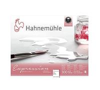 Hahnemuhle : Expression : Watercolour Block : 300gsm : 20 Sheets : 24x30cm (Apx.10x12in) : Not