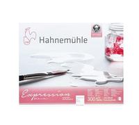 Hahnemuhle : Expression : Watercolour Block : 300gsm : 20 Sheets : 24x30cm (Apx.10x12in) : Not