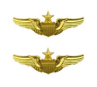 HAICN 2Pieces Wings Pin Metal Aviator Wings Pins Air Force Pin Golden Sweater Shawl Breastpin Accessories for Pilot Costume Decoration