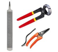 HAICN 3Pcs Horse Farrier Hoof Trimmer Tool Farrier Hoof Tool Kit Mini Rasp Hoof Metal Shears Farriers Hoof Nipper Hoof Clipper Horse Hoof Care for Horses Donkeys