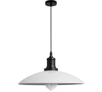 HAIDU E27 Base Single-Head Chandelier, Industrial Style Metal Hanging Lampshade, Ceiling Lighting Fixtures, Living Room, Bedroom, Balcony Decorative Pendant Light