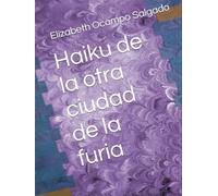 Haiku de la otra ciudad de la furia
