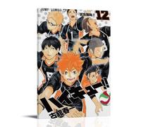 Haikyu!! Poster; Room Aesthetics, Canvas Oil Painting, Album/movie Poster Hanging Picture