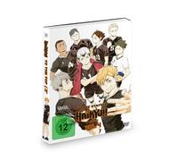Haikyu!!: To the Top - Staffel 4 + OVA zur Staffel 2&3 - Vol.4