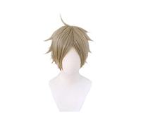 Haikyuu!! Volleyball SEMI EITA Cosplay Wig Short Mixed Gray Heat Resistant Synthetic Hair Wig + Hair Net