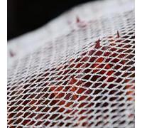 Hail Prevention Net, PE Nylon Mesh Netting for Plant Protection Pond Safety Fruit Cage Veg Net White Garden Net Anti Bird Netting Sturdy and Durable, Can be DIY(2x5m)