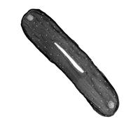 Hair Bun Maker,French Hair Donut Twister - Decorative Hairstyling Accessories for Daily Updo Wearers Ladies Women Styling Beginners Busy Professionals Fashion Enthusiasts