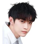Hair Care Mens Wigs Fluffy Head Top Replacement Wig Human Hair Curly Wig Handsome Traceless Wig Piece For Daily Costume Use Natural Wigs
