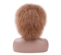 Hair Care Short Wavy Wig with Bangs Fake Hair Short Ladies Wig Synthetic Wig 35cm/14'Natural Fluffy Explosive Head Explosion Natural Wigs