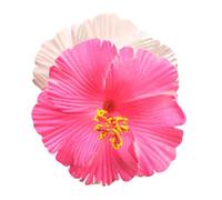 Hair Claw Clip Beach Hibiscus Claw Hair Barrettes Unique Adornment Hairpin Fashion Unique Ornamentation Hawaiian Flower Hair Clip For Women