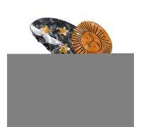 Hair Clips Stylish Hair Accessories Non-Slip Hair Catcher Acetate Snails Sunflower Gripper Shark Clip with Leopard Print Shark Clip for Women