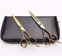 Hair Cutting Scissors, 5.5" 440C d Color Cutting Shears Thinning Scissors Hairdressing Supplies Professional by (C9001 Jin D 55y)